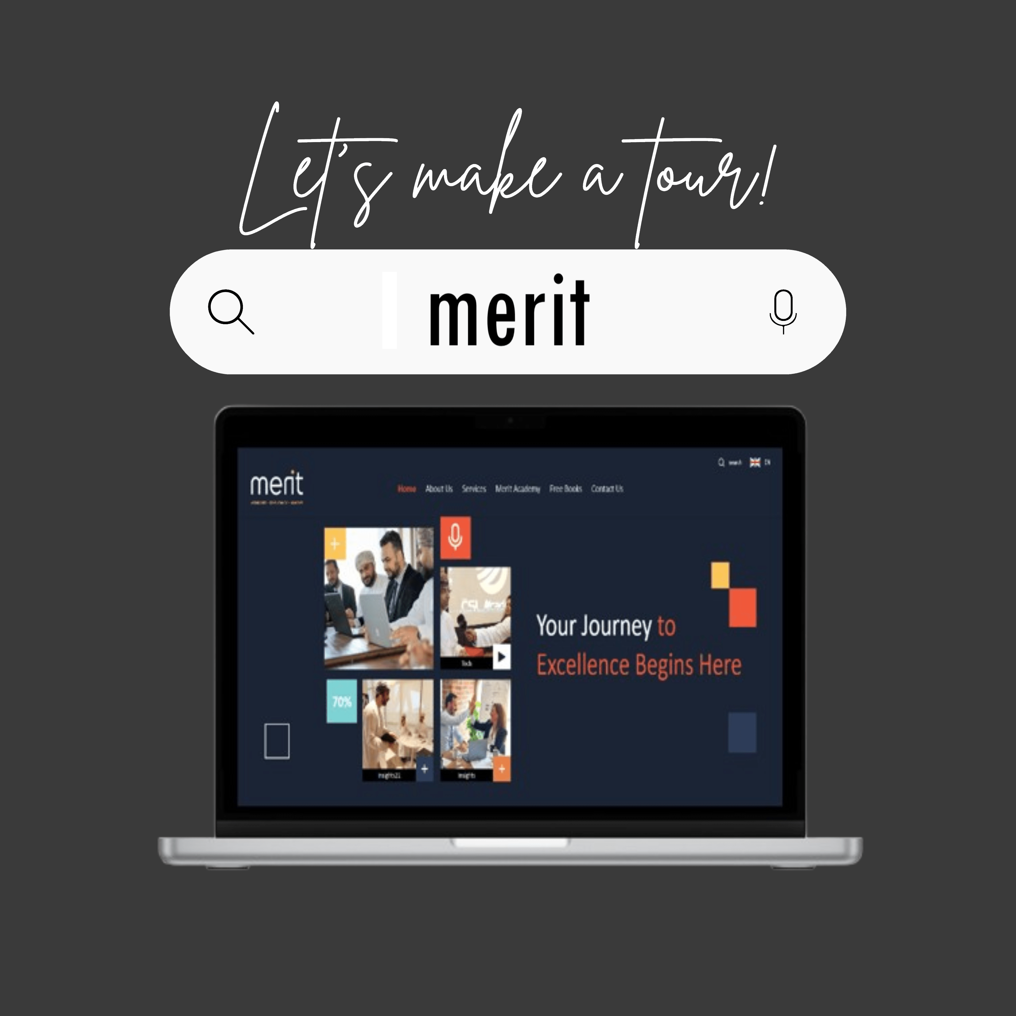 Merit - website