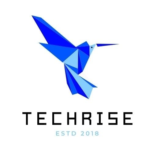 Multi-format content marketing for Techrise Information Technology Company.